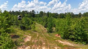 000 Avinger Cutoff Road - Photo 22