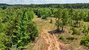 000 Avinger Cutoff Road - Photo 23