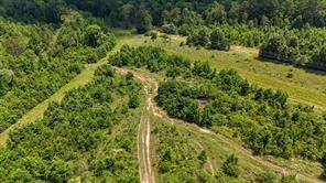 000 Avinger Cutoff Road - Photo 25