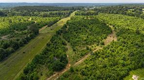 000 Avinger Cutoff Road - Photo 27