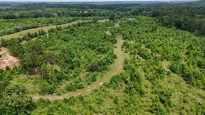 000 Avinger Cutoff Road - Photo 28