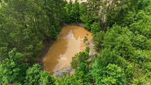 000 Avinger Cutoff Road - Photo 29