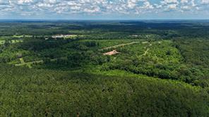 000 Avinger Cutoff Road - Photo 3