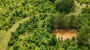 000 Avinger Cutoff Road - Photo 30