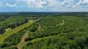 000 Avinger Cutoff Road - Photo 31