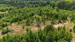 000 Avinger Cutoff Road - Photo 32