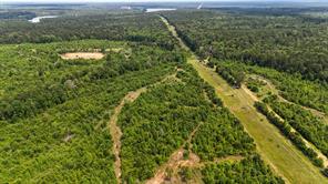 000 Avinger Cutoff Road - Photo 33