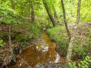 000 Avinger Cutoff Road - Photo 34