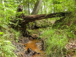 000 Avinger Cutoff Road - Photo 36