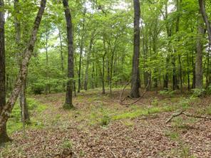 000 Avinger Cutoff Road - Photo 37