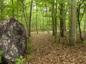 000 Avinger Cutoff Road - Photo 38