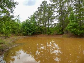 000 Avinger Cutoff Road - Photo 39