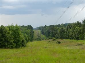 000 Avinger Cutoff Road - Photo 40