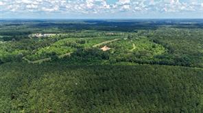 000 Avinger Cutoff Road - Photo 5