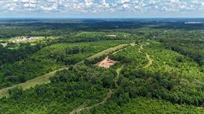 000 Avinger Cutoff Road - Photo 6