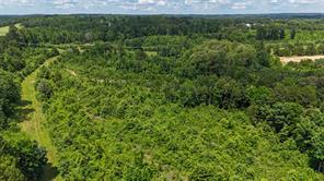 000 Avinger Cutoff Road - Photo 8