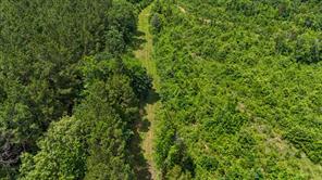 000 Avinger Cutoff Road - Photo 9