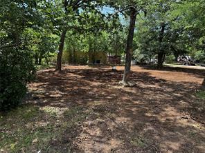 260 Sycamore Street - Photo 13