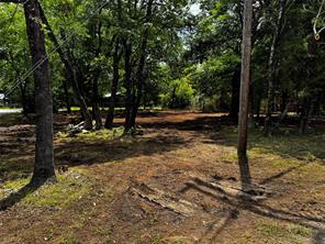 260 Sycamore Street - Photo 14