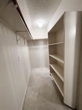 7305 Gillon Drive - Photo 23