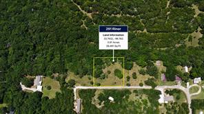 291 Riner Road - Photo 3