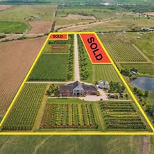 9775 County Road 505 - Photo 1