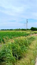 9775 County Road 505 - Photo 4