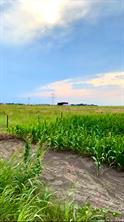 9775 County Road 505 - Photo 6