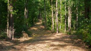 22924 County Road 223 - Photo 10