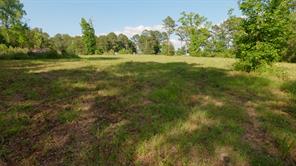 22924 County Road 223 - Photo 12