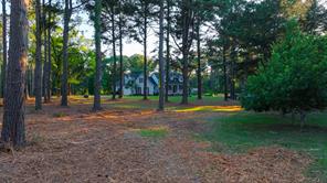 22924 County Road 223 - Photo 13