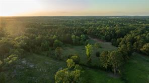 22924 County Road 223 - Photo 4