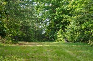 22924 County Road 223 - Photo 6
