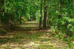 22924 County Road 223 - Photo 7