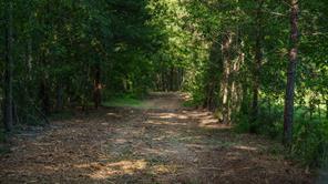 22924 County Road 223 - Photo 8