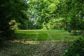 22924 County Road 223 - Photo 9