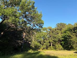 289 FCR 261 - Photo 5