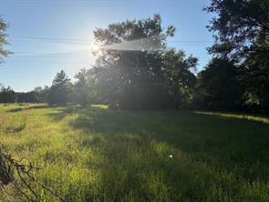 289 FCR 261 - Photo 6