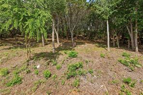 5036 Santa Elena Court - Photo 1