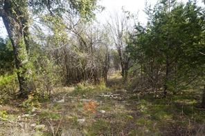 Lot 521 Canyon Wren - Photo 10