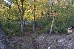 Lot 521 Canyon Wren - Photo 12