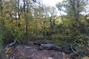 Lot 521 Canyon Wren - Photo 13