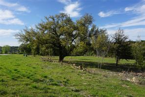 Lot 521 Canyon Wren - Photo 5