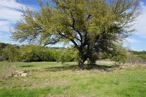 Lot 521 Canyon Wren - Photo 7