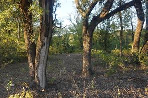 Lot 521 Canyon Wren - Photo 9