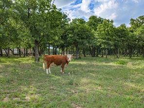 210 County Road 2696 - Photo 27