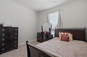 1704 Snowdrop Drive - Photo 7