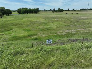 TBD Tract 4 County Road 4830 - Photo 10