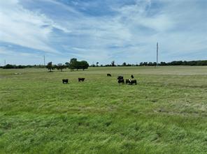 TBD Tract 4 County Road 4830 - Photo 7