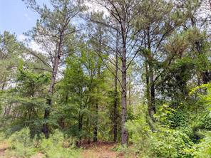 TBD CR 4510 - Photo 20
